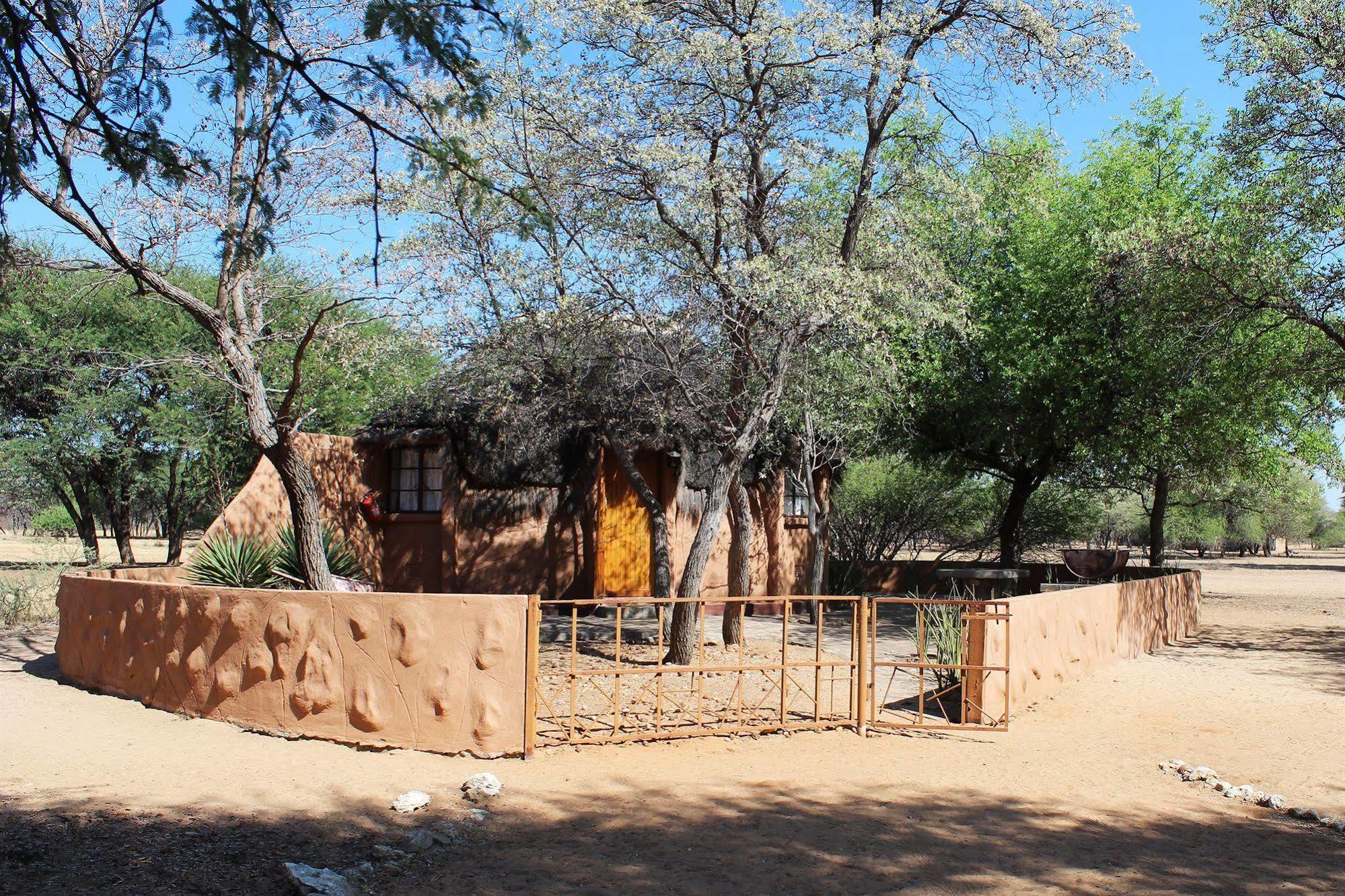 Harnas Wildlife Foundation Gobabis Exterior foto